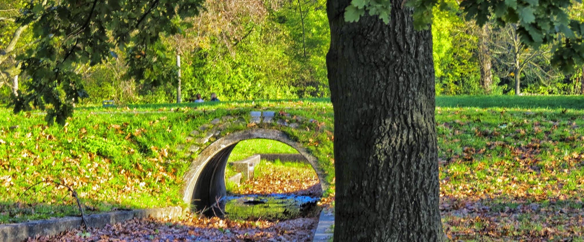 Entschuldigung – aber es ist Herbst in Franken