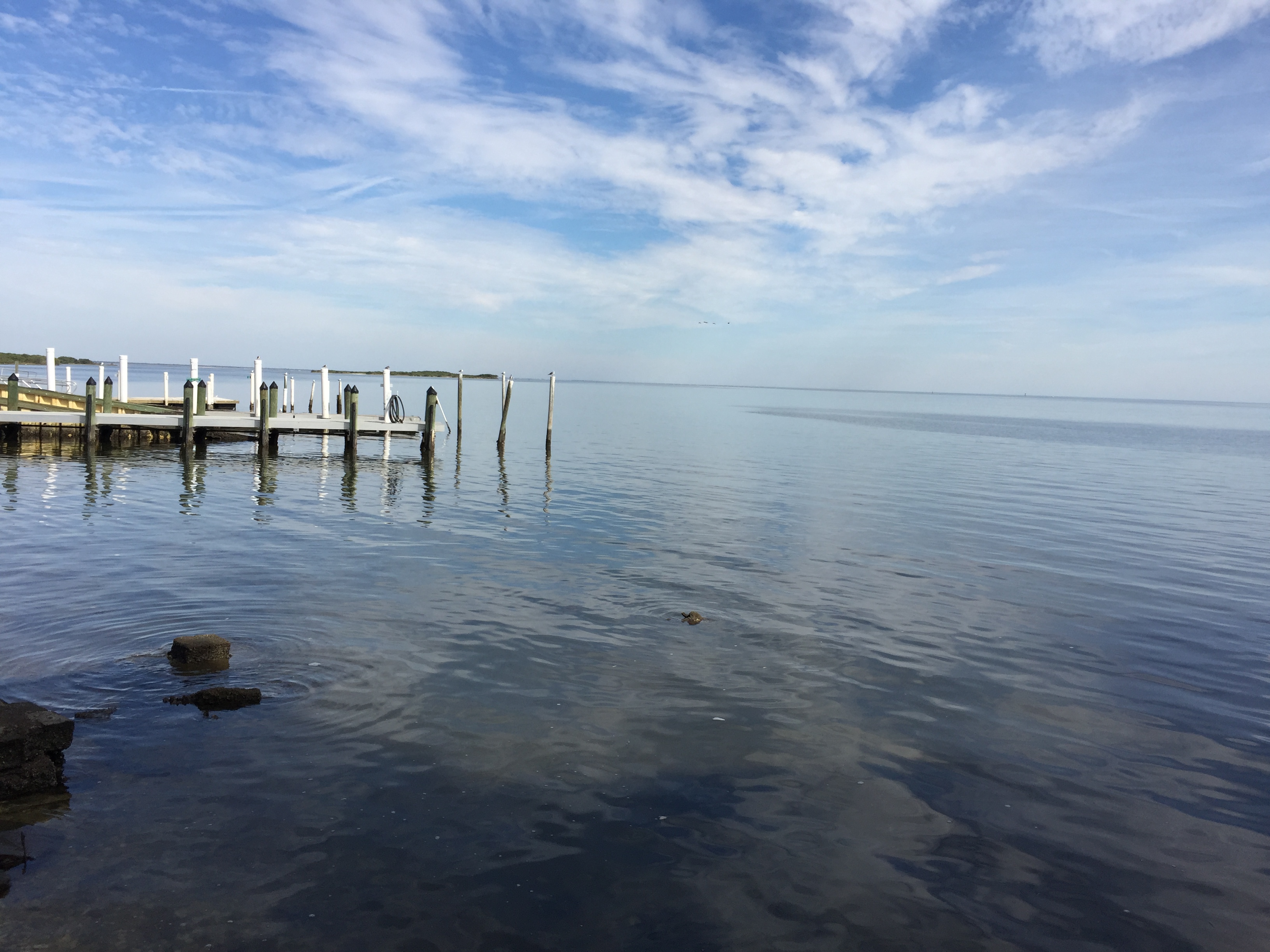 Das Schicksal eines idyllischen Ortes – Cedar Key